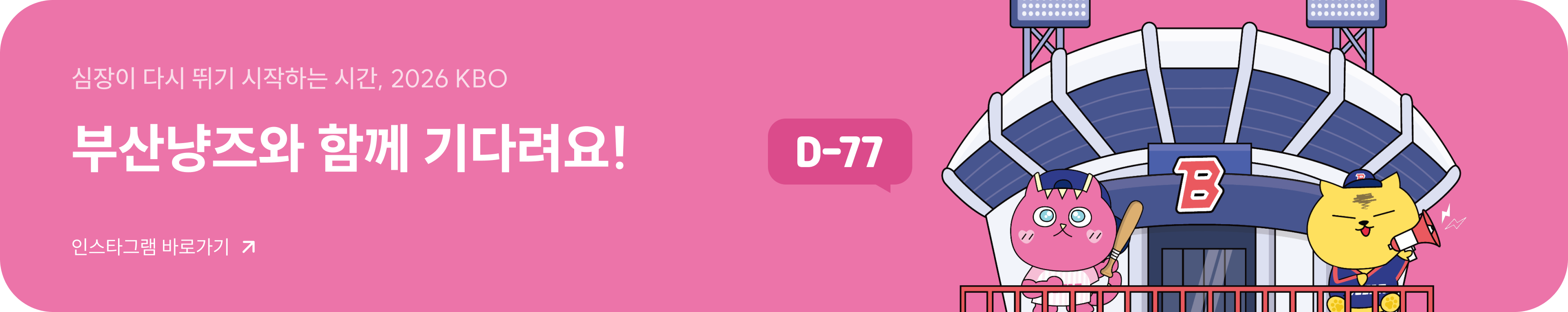 부산냥즈 인스타그램 바로가기