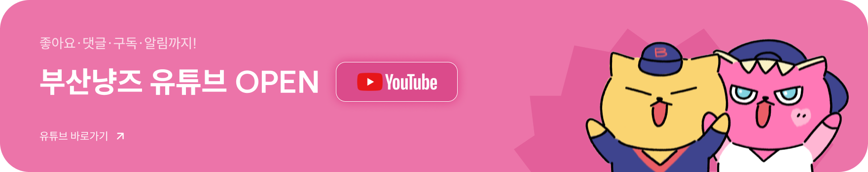 부산냥즈 인스타그램 바로가기