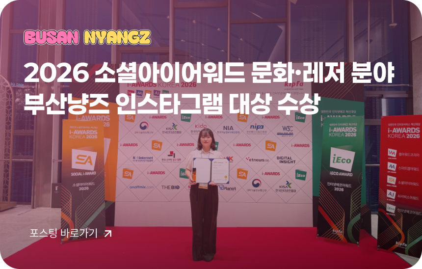 2026 소셜아이어워드 문화·레저 분야 부산냥즈 인스타그램 대상 수상